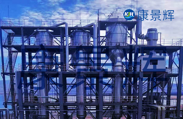 產固量2.5t/h溴化鈉三效蒸發器